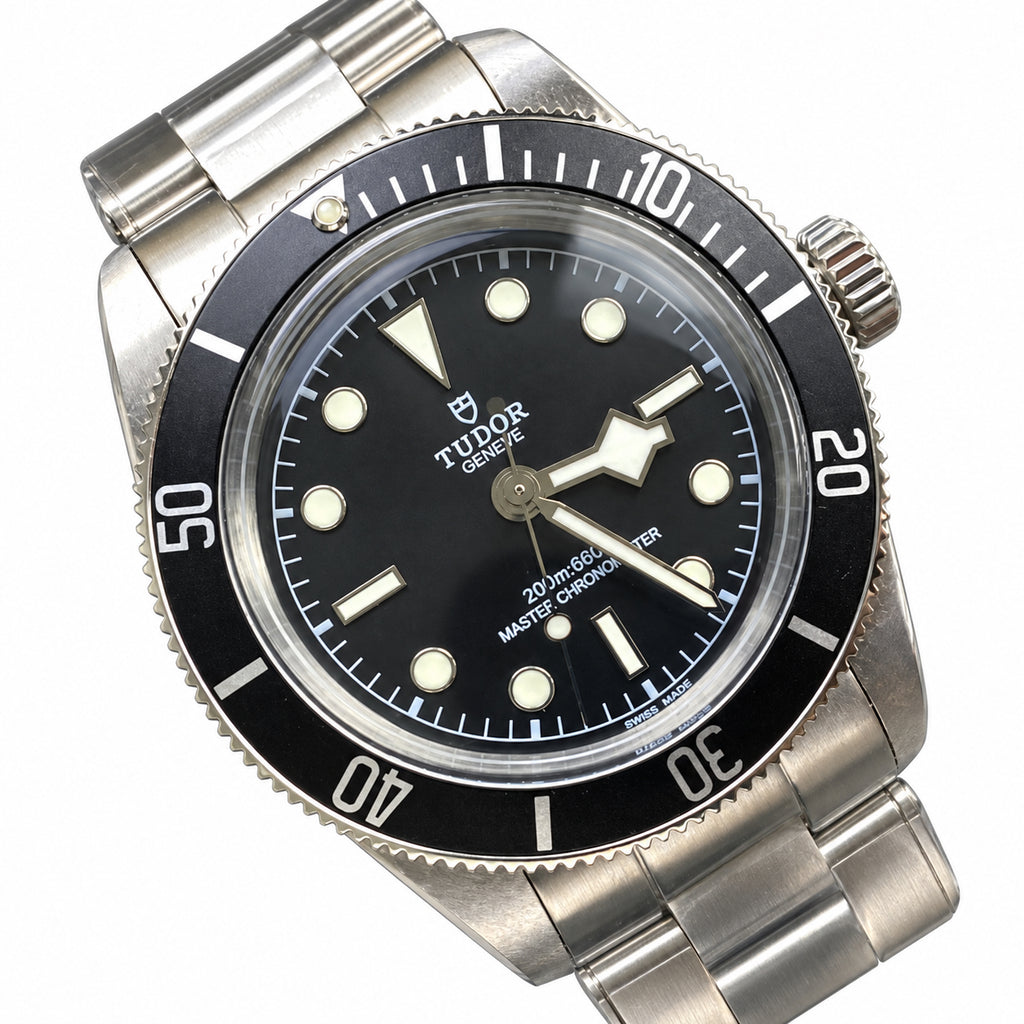 Tudor Steel Black Bay Watch
