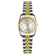 Men's Quick-Release Watch Band